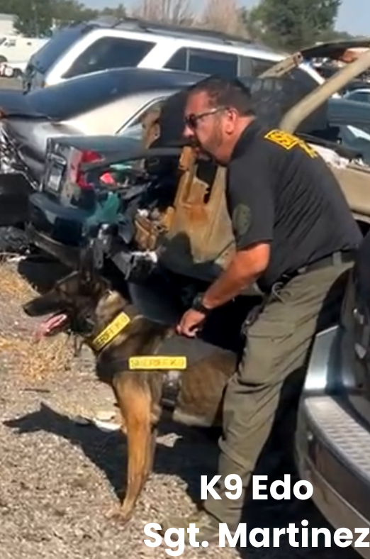K9 Edo with Sgt. Martinez - photo