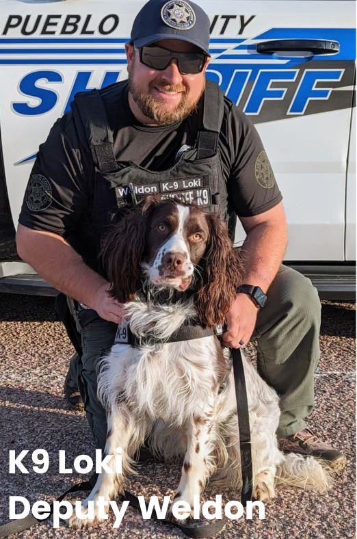 K9 Loki and Deputy Weldon - photo